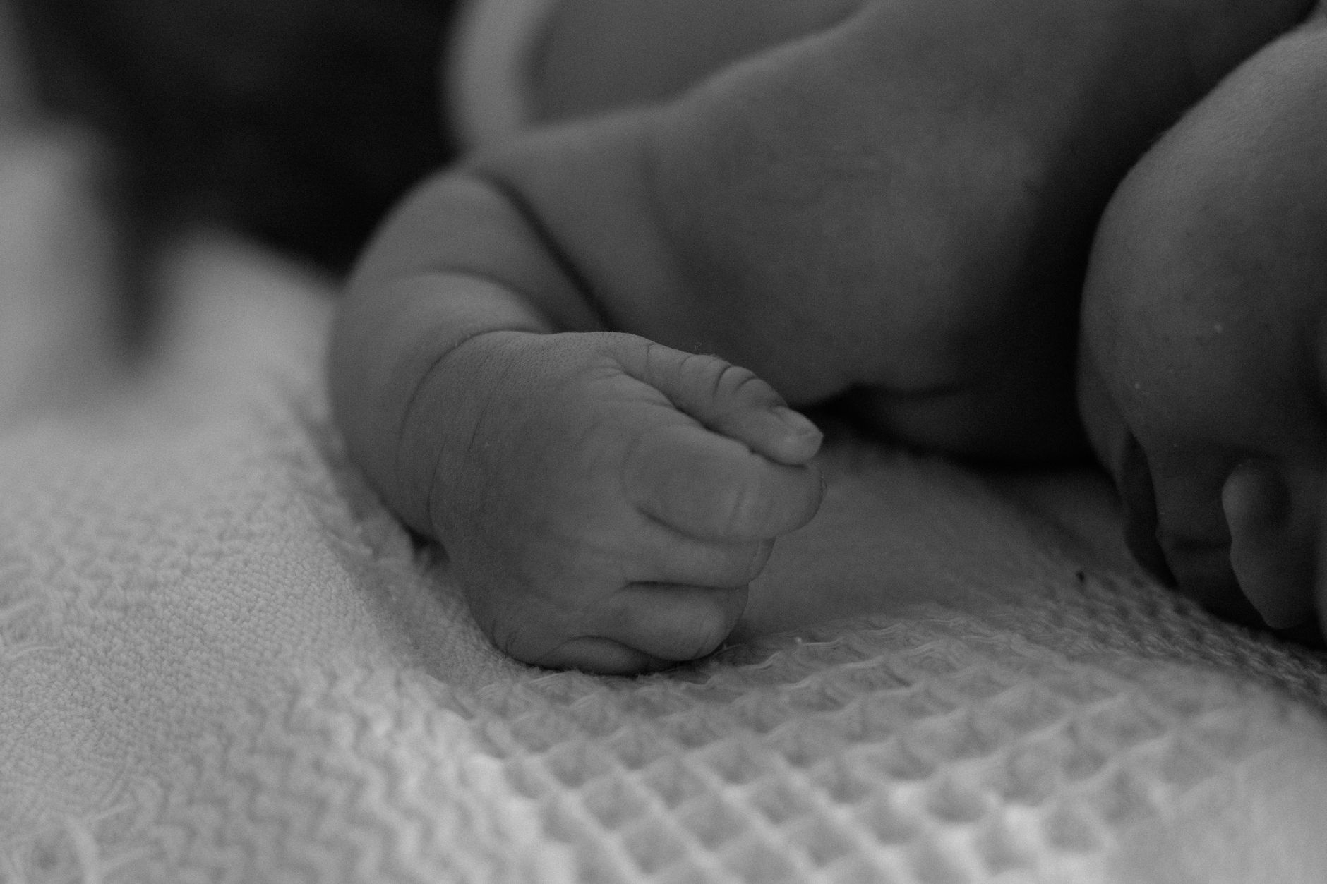 How to Apply for a Birth Certificate in Gujarat Online (Ahmedabad Guide)